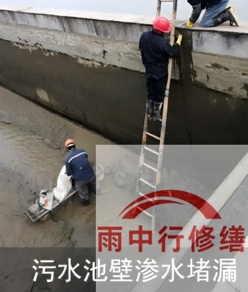 湘潭2026年防水龙头半月两次涨价，行业格局重塑信号